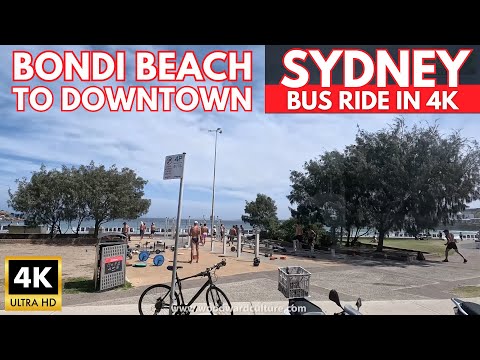 Bus ride from BONDI BEACH to DOWNTOWN Sydney Australia | Sydney Bus 333 | Sydney Public Transport