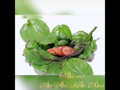Thể hiện bởi Bảo Yến