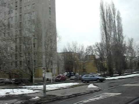 Budapest bus BP0-381 143 (ikarus 260 BKV)