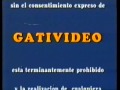Walt Disney Home Video Gativideo 1989 Mejorado