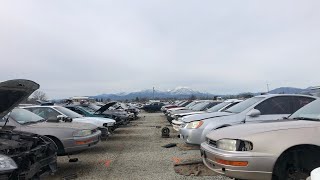 Junkyard Exploration! Pick n Pull, Redding California.
