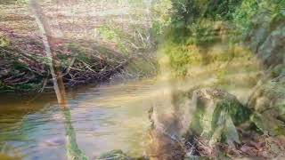 Download lagu Lac des Montagnès #Tinong.Europe mp3