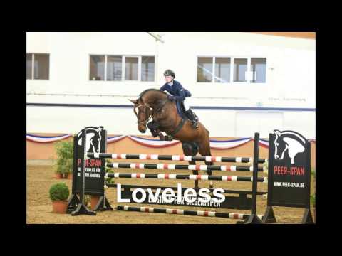 Stall VÖLZ - Hengst LOVELESS v. Lord Z