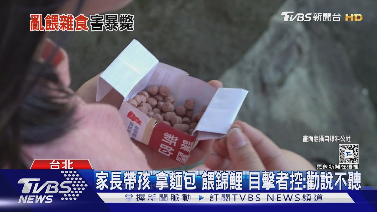 家長帶孩「拿麵包」餵錦鯉　目擊者控：勸說不聽