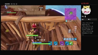 フォートナイトps４　直差し　勝数250↑