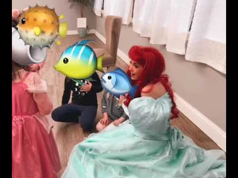 Promotional video thumbnail 1 for Pixie Dust Princess Parties LLC