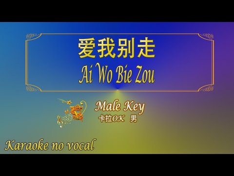 爱我别走 【卡拉OK (男)】《KTV KARAOKE》 - Ai Wo Bie Zou (Male)