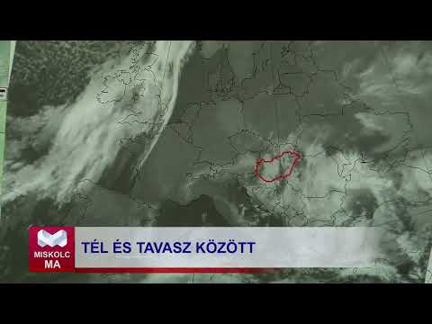 Videó előnézet