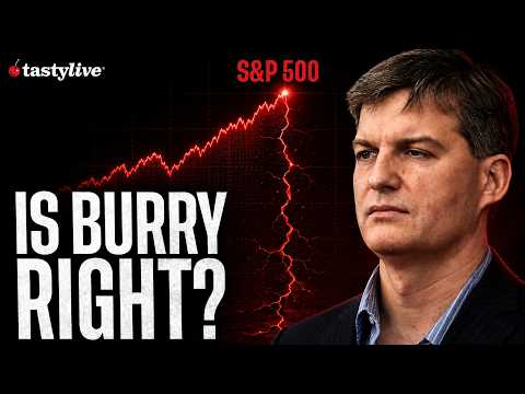 Burry's Shorts & Options Pricing — Full Breakdown & Transcript