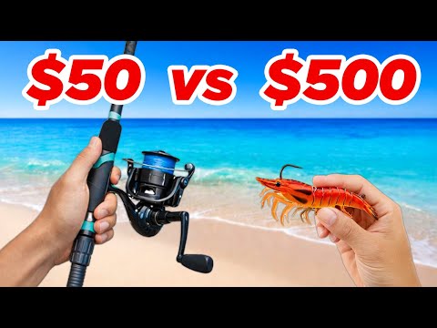 $50 vs $500 Saltwater Budget Fishing Challenge (Rod, Reel, Lures)