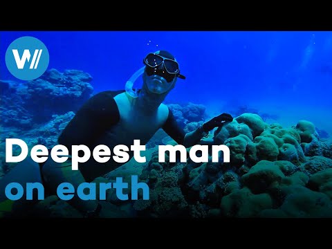 Freediving world record-holder Herbert Nitsch pushes the limits of the human body