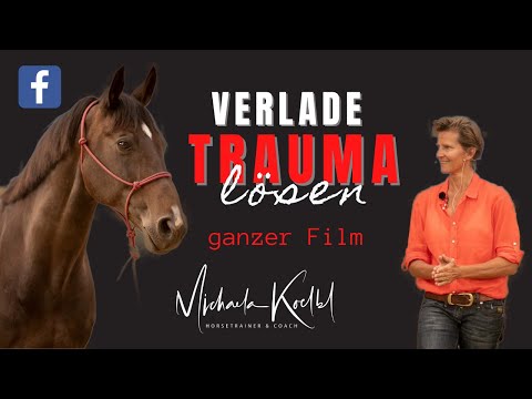 So hilfst du traumatisierten Pferden