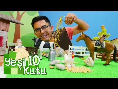 Lego Duplo çiftlik seti. Yeşil kutu. Nail Baba çiftçi