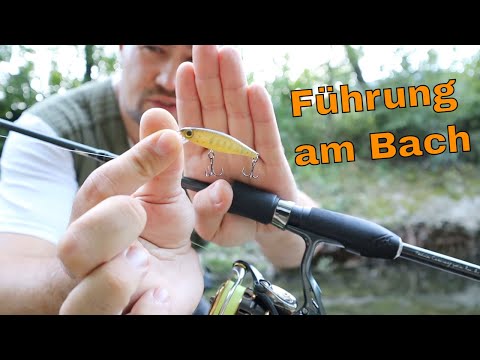 Köderführung am Bach auf Forellen