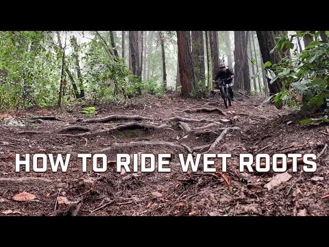 How To Ride Wet Roots