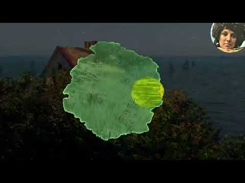 Marie Rottrová - Jsi jen blud