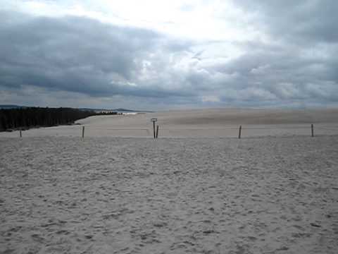 Die größte europäische Düne bei Leba / Polen