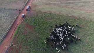Miniatura do vídeo