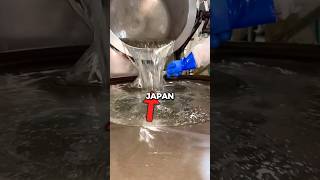 Download lagu 3 Things In Japan That’s Not From There!! 🇯🇵🥲 mp3