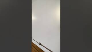 70 Lenox Road Apt C1