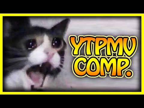 U.N. Owen Was Cats (other cats included)