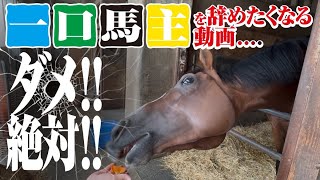 一口馬主はダメ！絶対！新規入会を辞めたくなる動画