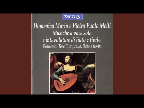 Intavolutare di liuto e tiorba: Il gran Monarca