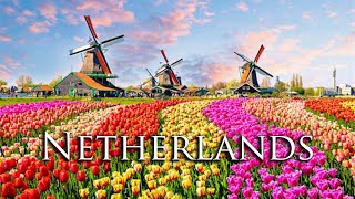 🇳🇱 Discovering the Netherlands: Tulips, Windmills & City Wonders 🇳🇱