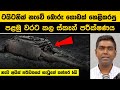 ටයිටනික් නැවේ බොරු ගොඩක් හෙළිකරපු පළ�