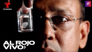 El animal más venenoso del mundo vive en el mar, es diminuto y casi invisible