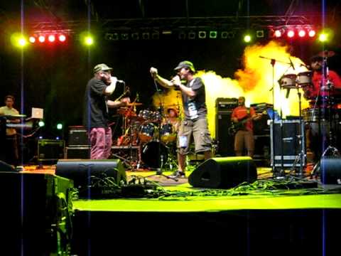 WORKING VIBES-UGUALI-PISA 26-6-09