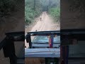 God Saved Us From A Tigress Attack Sariska Tiger Reserve Tigress