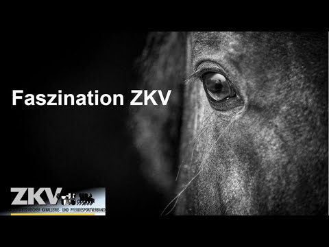 ZKV - Wir investieren in die Zukunft!