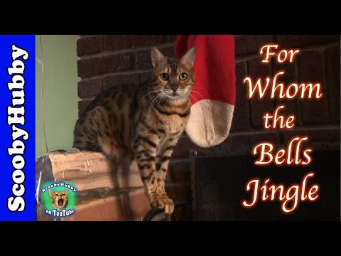 For Whom the Bells Jingle -- Cat Clips #271