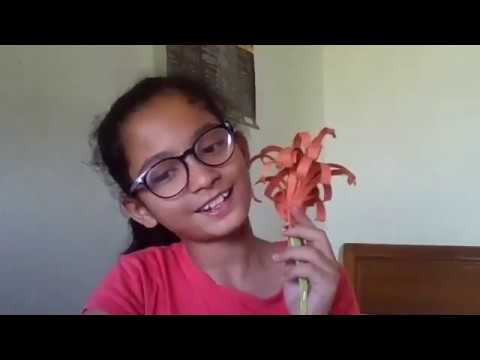 how to make an easy oragami flower without glue by ipshita