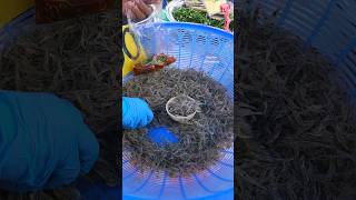 Download lagu All the little ones dancing, dancing shrimp salad in Thailand. #streetfood #shorts mp3