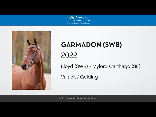 Garmadon - Free jumping