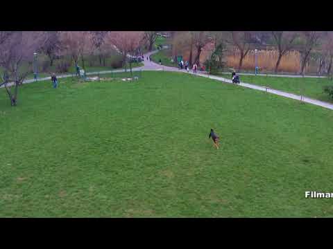 Filmari aeriene cu drona profesionala 4k