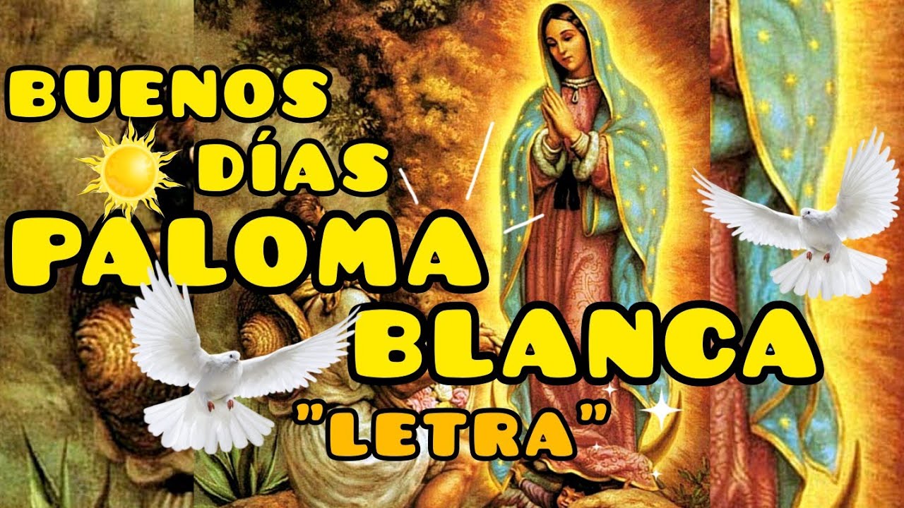 Buenos Días Paloma Blanca 