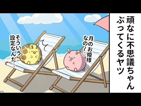 ぽちゃーズ Video4