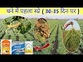चने में पहला स्प्रे कब और किन दवाओं का �