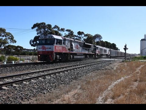 SCT Logistics 7PM9 SCT011 CSR011 had a struggle through the Adelaide Hills 22nd December 2021