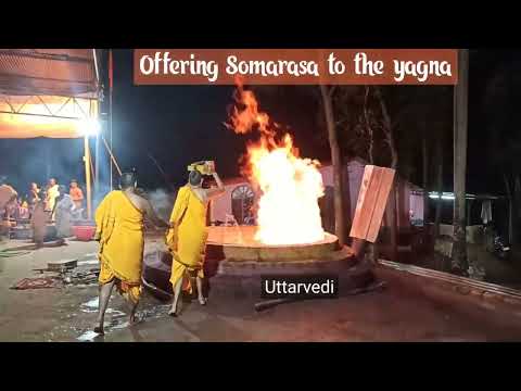 Maha Soma Yaga @Svyasa, Jigani Bengaluru