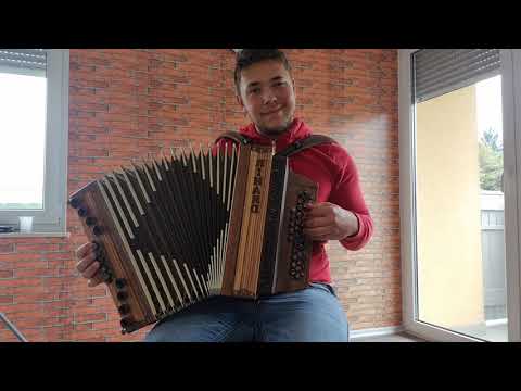 Zapeljiva harmonika (Jože Bohorč)