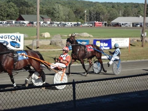 Compilation Videos Of The Money Winners Of Harness Racing