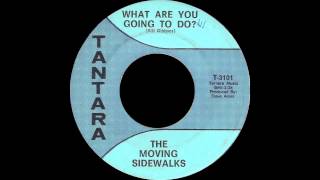 The Moving Sidewalks - What Are You Going To Do?