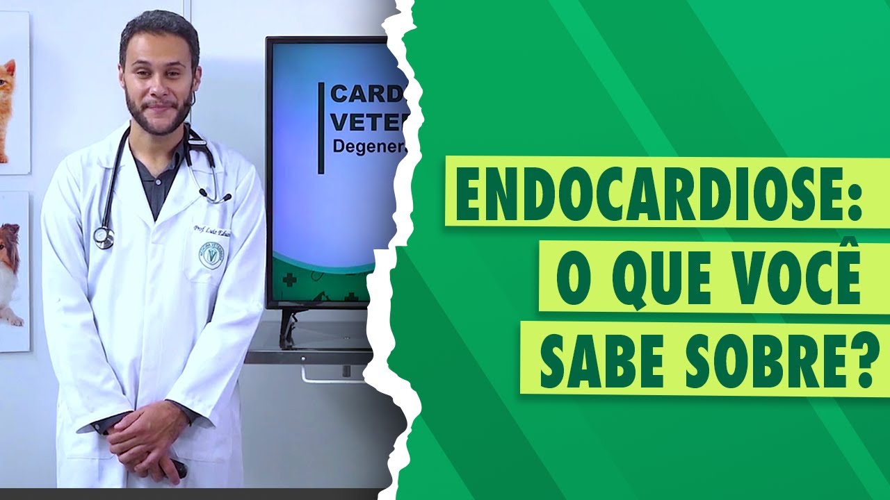 Degeneração mixomatosa valvar