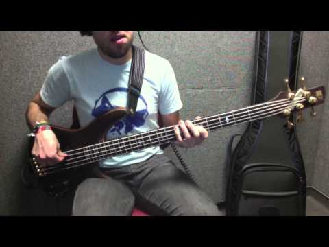 Tame Impala - Led Zeppelin (Bass Cover) [Pedro Zappa]