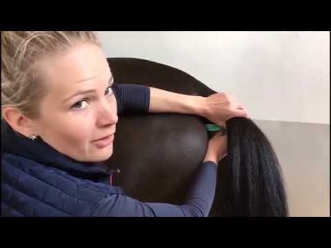 TJEK HESTENS TEMPERATUR