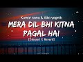 Mera Dil Bhi Kitna Pagal Hai [90's-Slowed x Reverb]Saajan | Kumar sanu| Alka yagnik| Lofi's today 1m